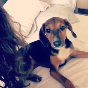 Video by onlylittlelori published on August 3,2023 17:05:00 - BestThots