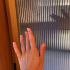 Video by gloriasol published on August 25,2023 18:05:06 - BestThots