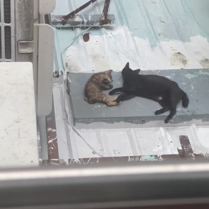 Video by gloriasol published on August 25,2023 18:13:40 - BestThots