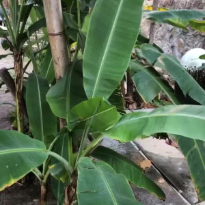 Video by gloriasol published on August 25,2023 18:08:34 - BestThots