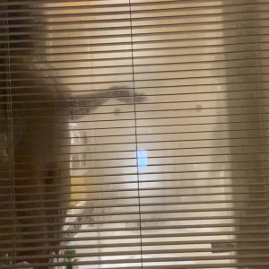 Video by gloriasol published on August 25,2023 18:15:16 - BestThots