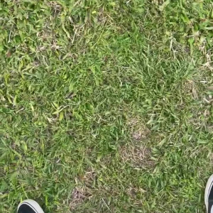 Video by cubzorro published on March 30,2023 18:01:00 - BestThots