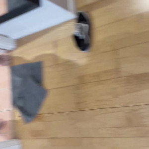 cubzorro #5051919