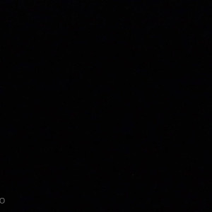 Video by venus_kittyxo published on July 2,2023 04:19:00 - BestThots