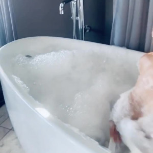 Video by stephmurvesvip published on August 2,2023 04:18:00 - BestThots