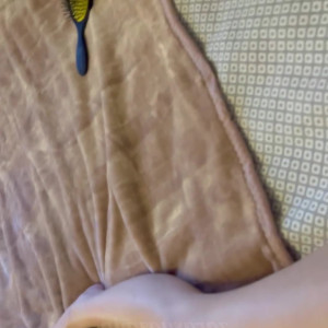 Video by zaraxyazmin published on March 2,2023 05:50:00 - BestThots