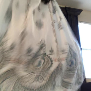 Video by alexisfawx published on July 2,2023 21:06:00 - BestThots