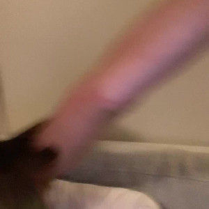 Video by alexisfawx published on July 30,2023 19:54:00 - BestThots
