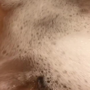 Video by alexisfawx published on August 9,2023 14:09:00 - BestThots