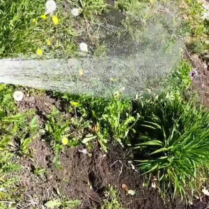 Video by saffronbacchus published on August 25,2023 19:28:34 - BestThots