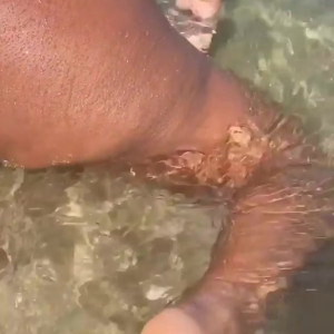 Video by valentinaeneidoca published on July 4,2023 16:44:00 - BestThots