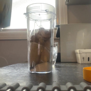 Video by primetimeisla published on March 12,2023 12:31:00 - BestThots