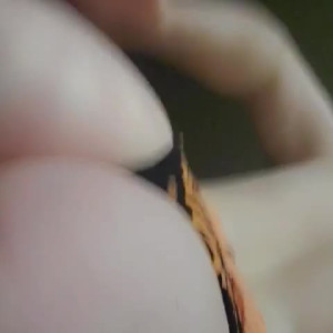 Video by vermilionvixen published on March 30,2023 14:46:00 - BestThots