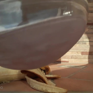 Video by feetbraga published on April 18,2023 23:49:00 - BestThots