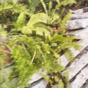 Video by nakedbakers published on April 6,2023 07:11:00 - BestThots