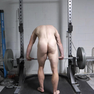 gingerjett #5225312