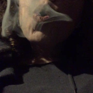Video by baileyxpaige published on April 30,2023 00:03:00 - BestThots