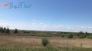 mistresslfatale #9742057