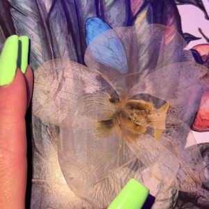 Video by moneybirdette published on August 25,2023 21:55:25 - BestThots