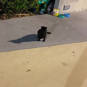 Video by moneybirdette published on August 25,2023 22:08:56 - BestThots