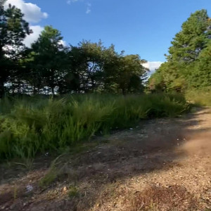 Video by moneybirdette published on March 25,2023 21:18:00 - BestThots
