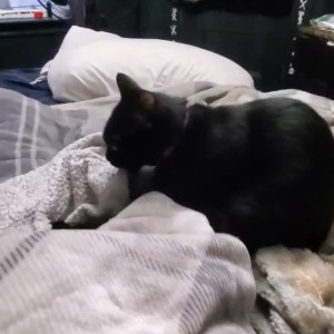 Video by moneybirdette published on March 4,2023 05:56:00 - BestThots