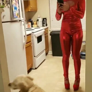 Video by scottyjoe246 published on August 26,2023 14:36:00 - BestThots