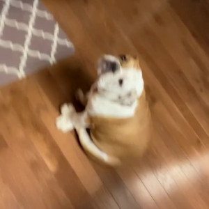 Video by scottyjoe246 published on April 15,2023 00:39:00 - BestThots
