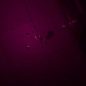 Video by megariley published on May 28,2023 08:04:00 - BestThots