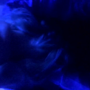 Video by vonka published on March 13,2023 18:39:00 - BestThots