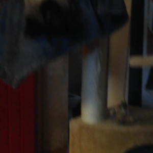 Video by pantieprincess23 published on March 22,2023 19:52:00 - BestThots