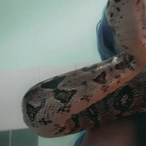 Video by xomel published on August 13,2023 18:00:00 - BestThots