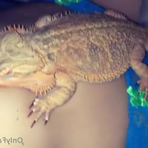 Video by xomel published on April 20,2023 08:46:00 - BestThots