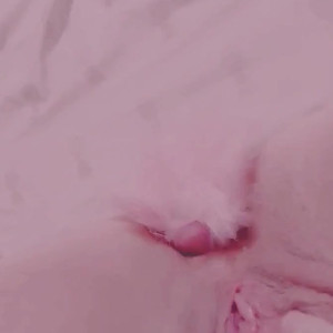 Video by venomous_dolly published on July 14,2023 12:07:00 - BestThots
