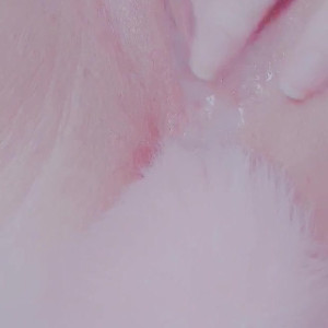 Video by venomous_dolly published on March 9,2023 21:23:00 - BestThots