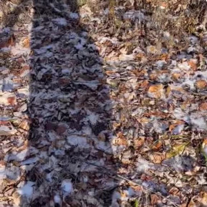 Video by isla-moon published on April 18,2023 04:00:00 - BestThots