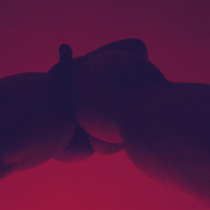 xo.big_a_vip #4042516