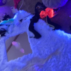 Video by queentesla published on March 15,2023 23:35:00 - BestThots