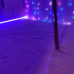 Video by queentesla published on April 27,2023 07:45:00 - BestThots