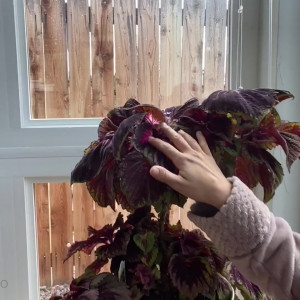 Video by aspenrae published on June 15,2023 21:18:00 - BestThots