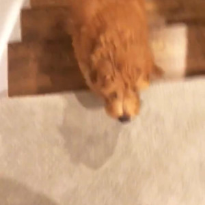 Video by aspenrae published on March 29,2023 07:37:00 - BestThots