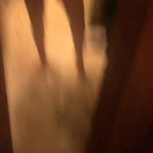 Video by tiffanyxduhh1 published on June 11,2023 21:29:00 - BestThots