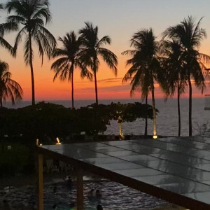 Video by allisonnycfree published on November 20,2023 19:30:49 - BestThots