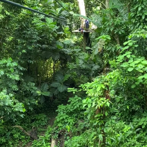 Video by allisonnycfree published on November 20,2023 19:31:17 - BestThots