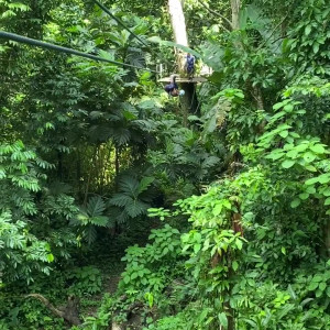 Video by allisonnycfree published on November 20,2023 19:32:31 - BestThots