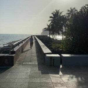 Video by allisonnycfree published on November 20,2023 19:32:11 - BestThots