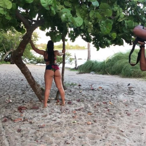 desygato #4593287