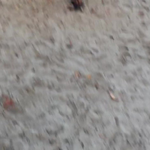Video by desygato published on June 8,2023 19:54:00 - BestThots