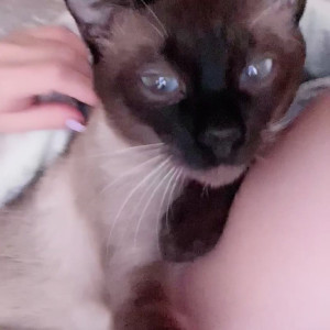 Video by sonya_vibe published on May 29,2023 12:55:00 - BestThots