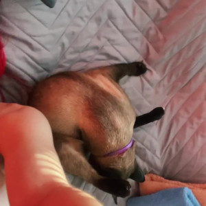 Video by sonya_vibe published on June 14,2023 13:36:00 - BestThots